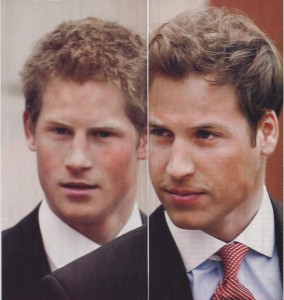 Brothers [32]
